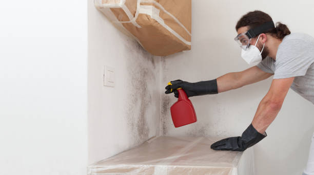 Professional Basement Mold Removal technician working in Canton, PA