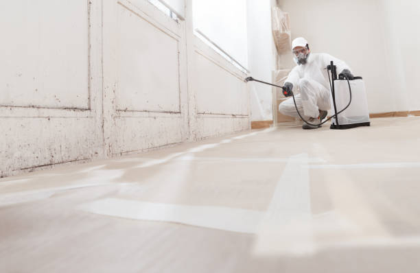 24/7 Emergency Basement Mold Removal experts in Canton, PA
